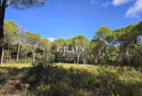 Albacete 10000&nbsp;m² 