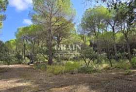 Albacete 10000&nbsp;m² 