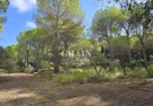Sòl urbà en venda a Albacete ref.: TR109704 foto