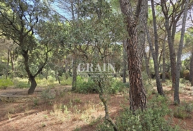 Albacete 10000&nbsp;m² 
