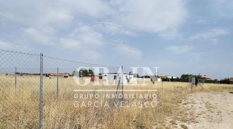 Albacete - Albacete - 1000m2