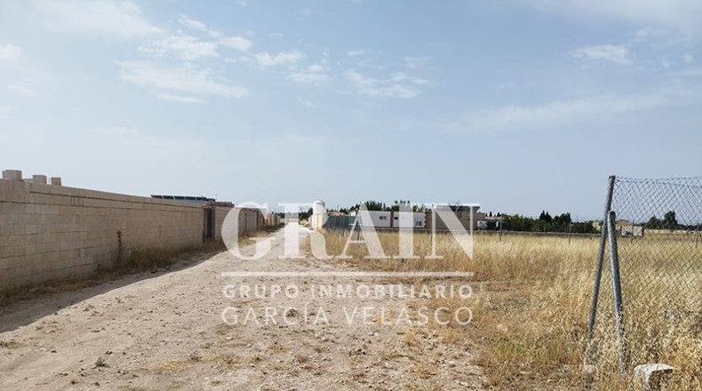 Albacete - Albacete - 1000m2