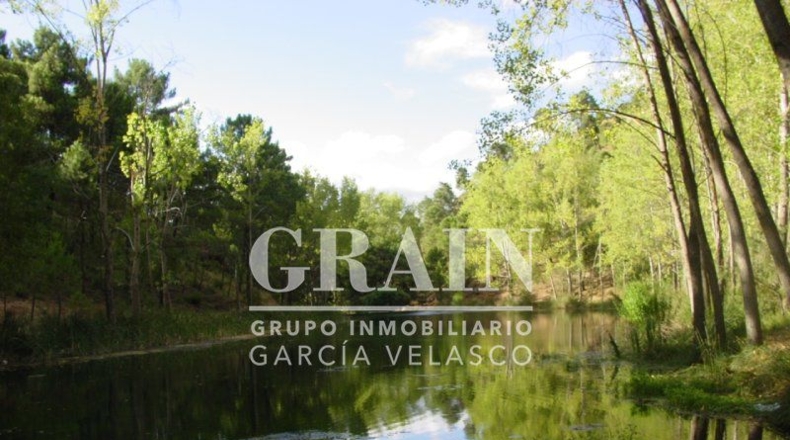 Albacete - Villaverde de Guadalimar - 300m2