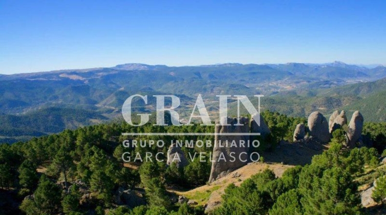 Albacete - Villaverde de Guadalimar - 300m2