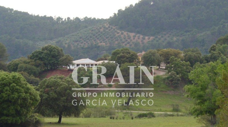 Albacete - Villaverde de Guadalimar - 300m2