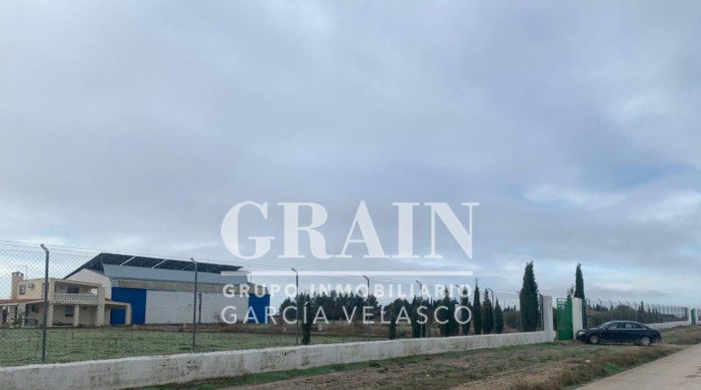 Albacete - Albacete - 30400m2