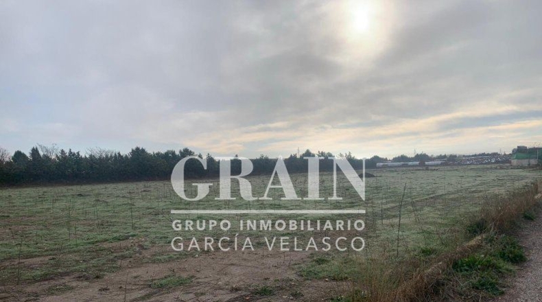 Albacete - Albacete - 30400m2