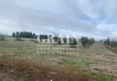 Отдельно стоящий дом с участком на продажу в городе Альбасете. Фото