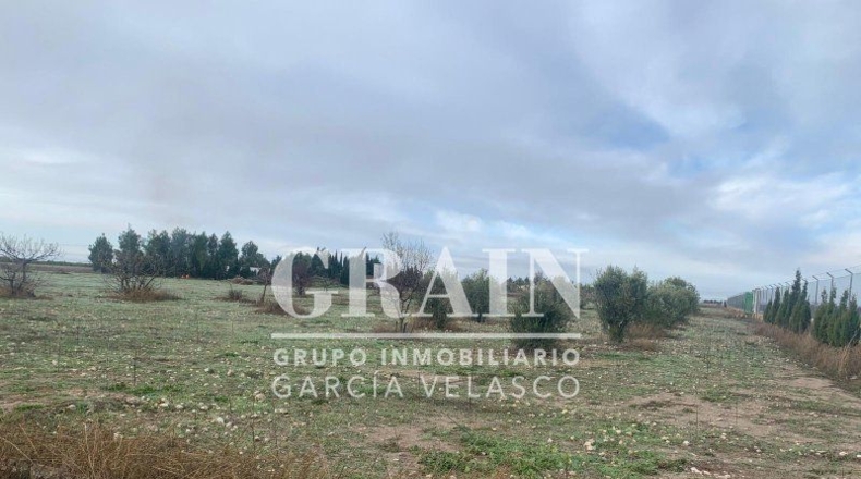 Albacete - Albacete - 30400m2