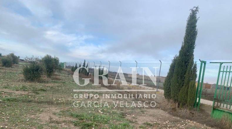 Albacete - Albacete - 30400m2