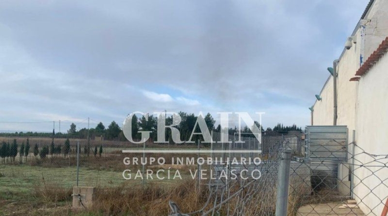 Albacete - Albacete - 30400m2