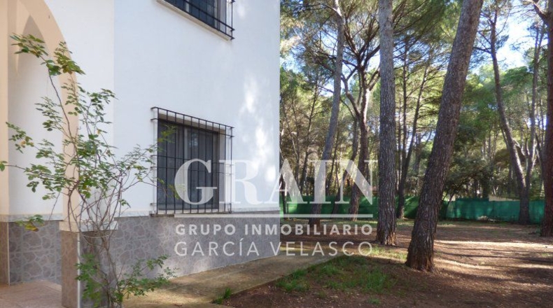 Albacete - Villar de Pozo-Rubio - 8000m2