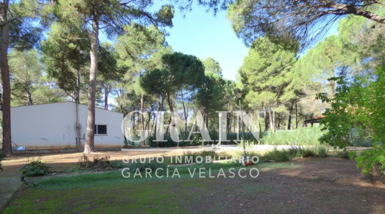 Albacete - Villar de Pozo-Rubio - 8000m2