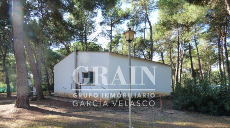 Albacete - Villar de Pozo-Rubio - 8000m2
