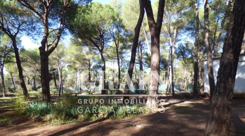 Albacete - Villar de Pozo-Rubio - 8000m2