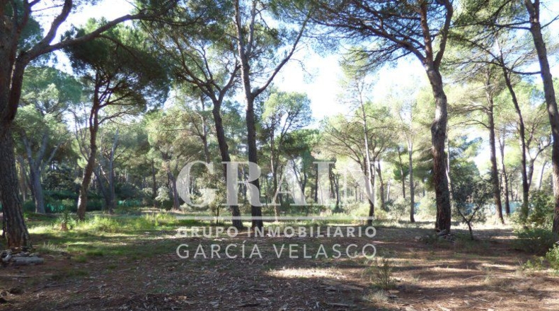 Albacete - Villar de Pozo-Rubio - 8000m2