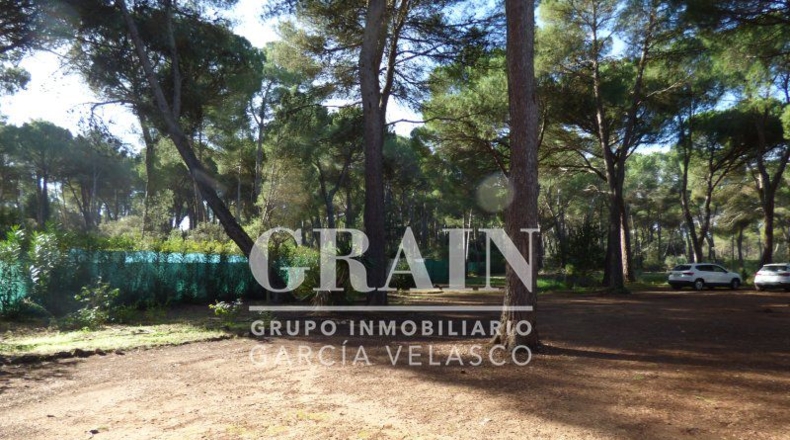 Albacete - Villar de Pozo-Rubio - 8000m2