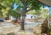Detached villa with land for sale in Albacete ref: TR349366 photo