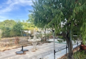 Detached villa with land for sale in Albacete ref: TR349366 photo