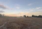 Detached villa with land for sale in Albacete ref: TR349146 photo