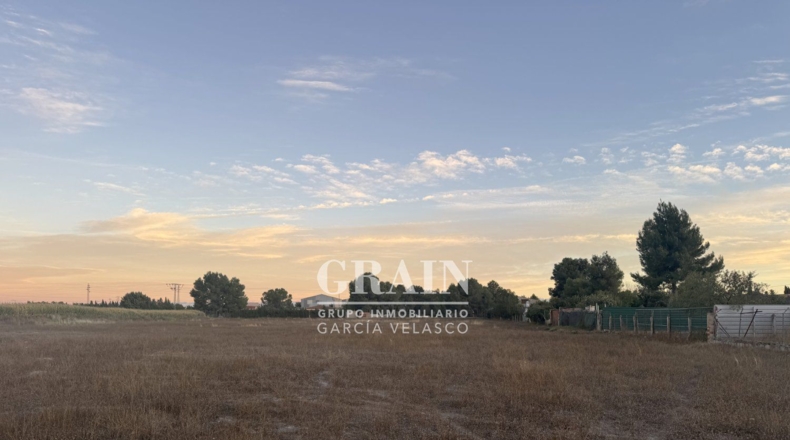 Albacete - Albacete - 15000m2