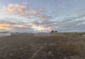 Detached villa with land for sale in Albacete ref: TR349146 photo