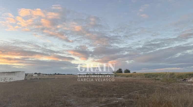 Albacete - Albacete - 15000m2