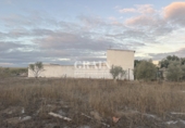 Detached villa with land for sale in Albacete ref: TR349146 photo