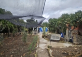 Detached villa with land for sale in Albacete ref: TR352813 photo