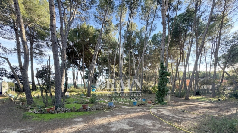 Альбакете - Albacete - 10000m2
