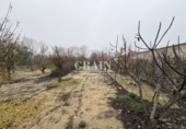 Detached villa with land for sale in Albacete ref: TR371570 photo