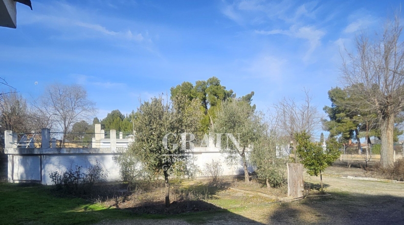 Albacete - Albacete - 3200m2