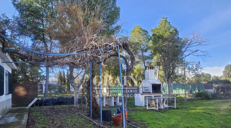 Albacete - Albacete - 3200m2