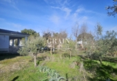 Chalet independiente con terreno en venta en Albacete ref: TR371637 foto