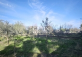 Chalet independiente con terreno en venta en Albacete ref: TR371637 foto