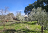 Chalet independiente con terreno en venta en Albacete ref: TR371637 foto