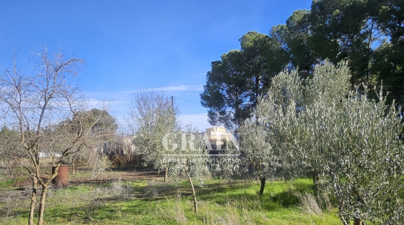 Albacete - Albacete - 3200m2
