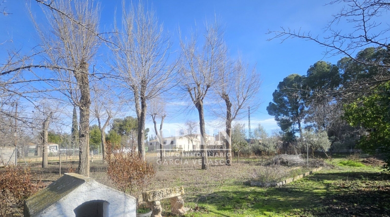 Albacete - Albacete - 3200m2