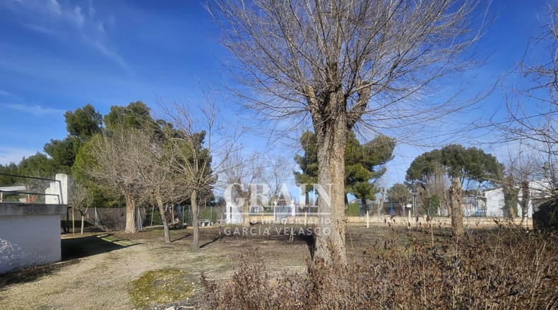 Albacete - Albacete - 3200m2