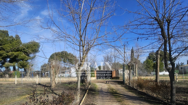 Albacete - Albacete - 3200m2