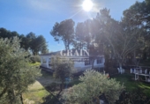 Chalet independiente con terreno en venta en Albacete ref: TR371637 foto