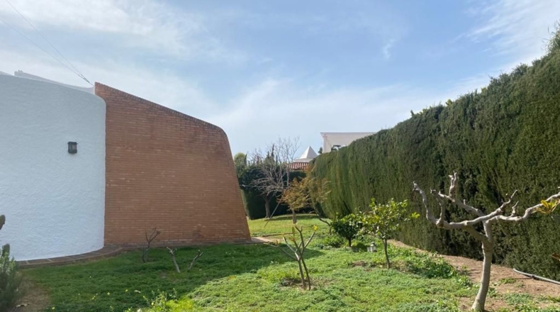 Málaga - Málaga - 1500m2