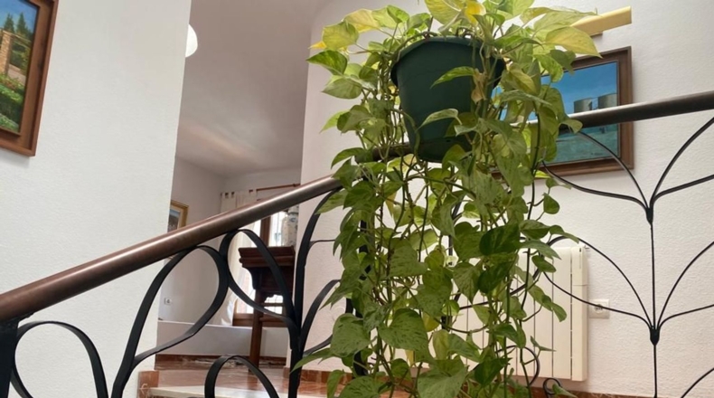 Málaga - Málaga - 1500m2