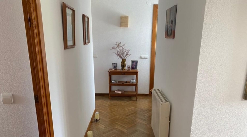 Málaga - Málaga - 1500m2