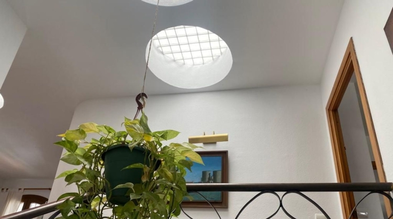 Málaga - Málaga - 1500m2