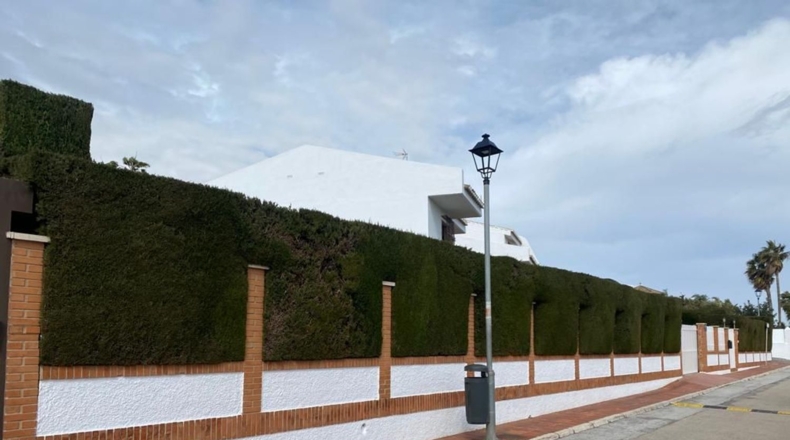 Málaga - Málaga - 1500m2