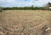 Finca rústica en venda a la España, Alfaro, ref.: TR262591 foto
