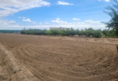 Finca rústica en venda a la España, Alfaro, ref.: TR347055 foto