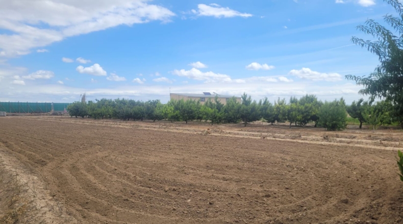 La Rioja - Alfaro - 10596m2