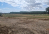 Finca rústica en venda a la España, Alfaro, ref.: TR347055 foto